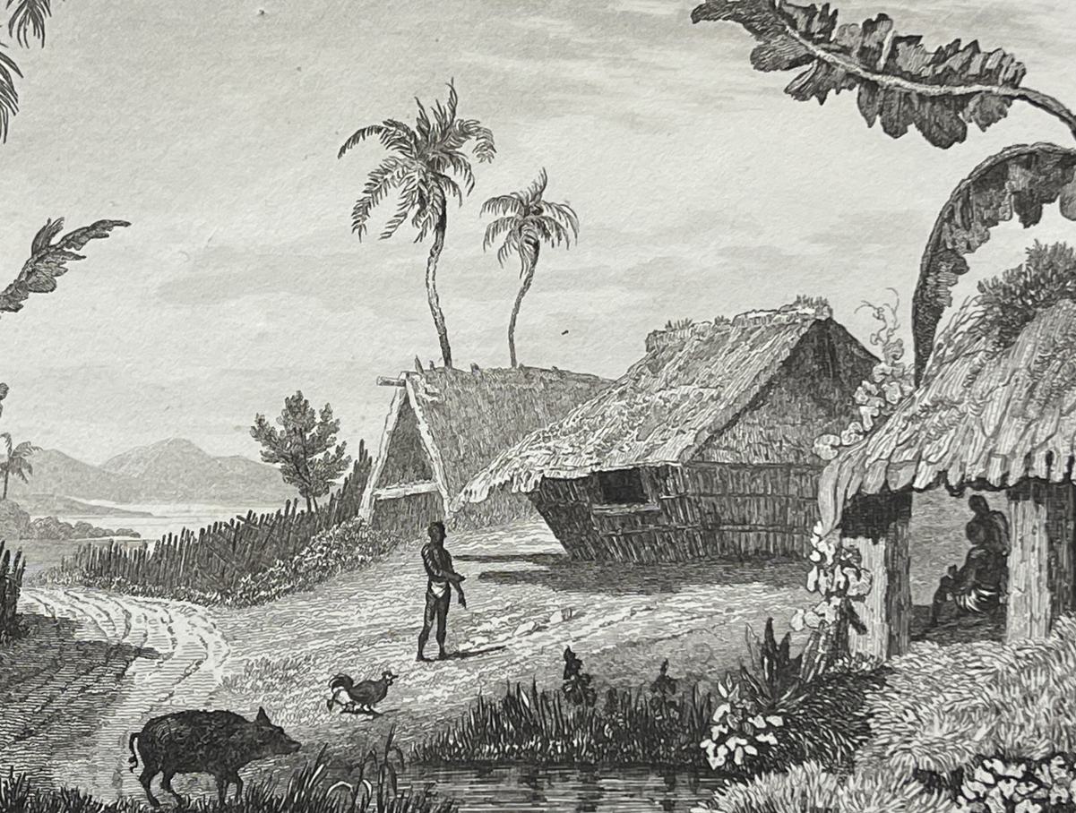 tonga_engraving_namuka_rotterdam_island_village_pacific_ocean_1836_oceanie